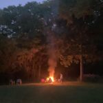Punarnavi Bhupalam Instagram - Photo dump-ster 🔥 Grand Rapids, Michigan