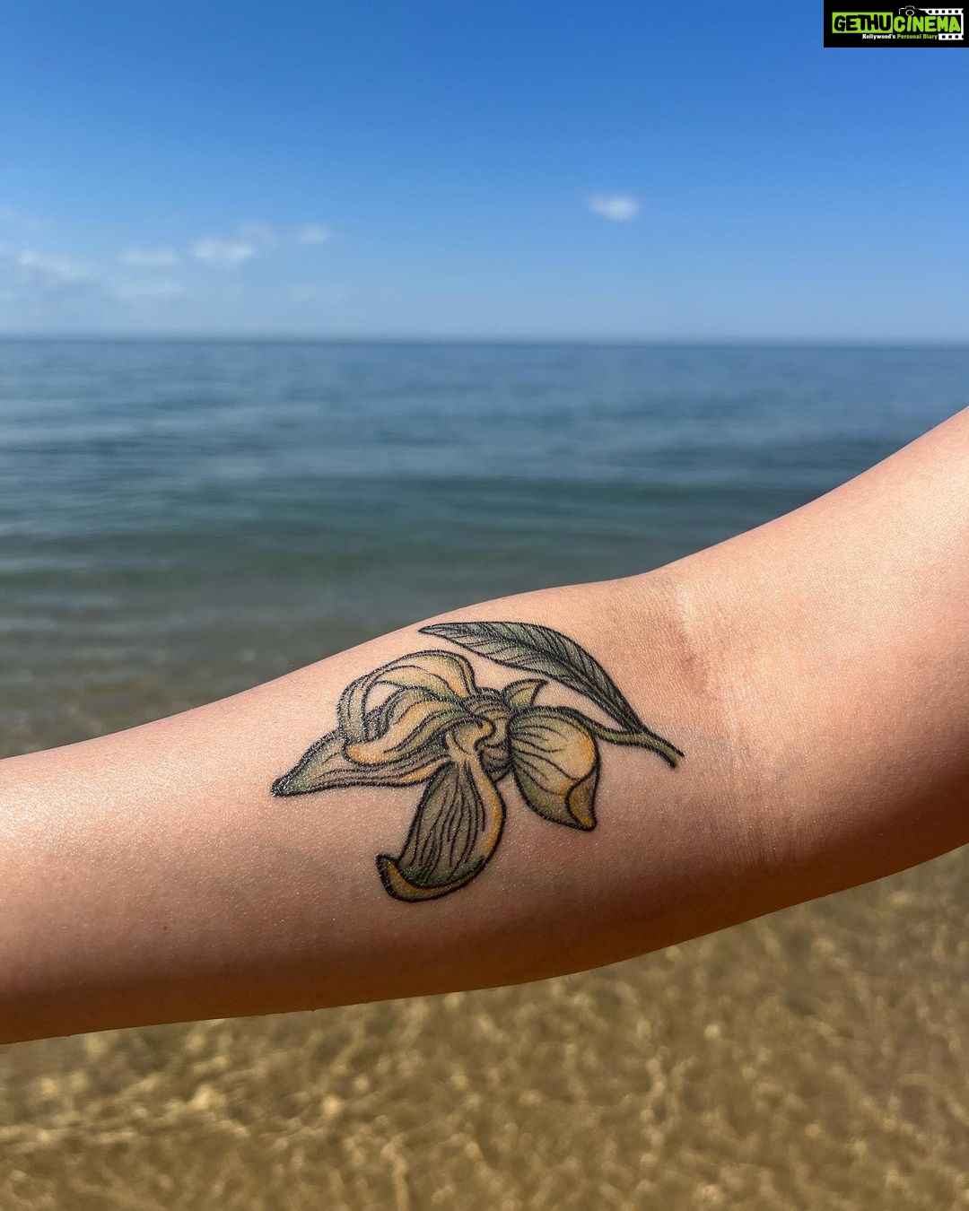 Punarnavi Bhupalam Instagram - Beach babes in Ptown Provincetown, Massachusetts