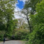 Punarnavi Bhupalam Instagram - Spring time in Central Park Central Park-New York