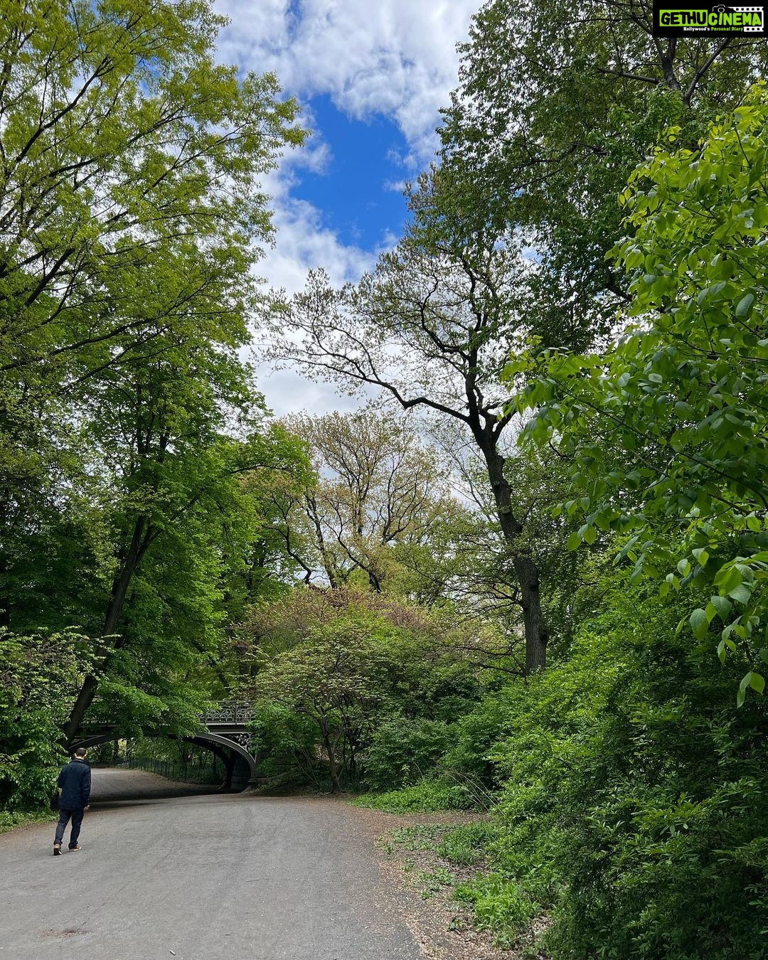 Punarnavi Bhupalam Instagram - Spring time in Central Park Central Park-New York