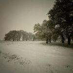 Radhika Apte Instagram – GLORIOUS SNOW #magic #winterwonderland #happiest #londonsnow #christmastime #nightwalk #forest
