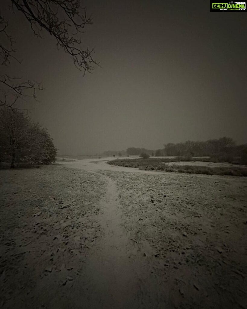 Radhika Apte Instagram - GLORIOUS SNOW #magic #winterwonderland #happiest #londonsnow #christmastime #nightwalk #forest