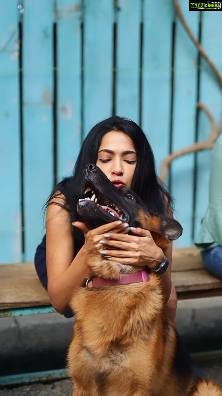 Ramya Subramanian Instagram - #ThrowBackTo Our HERO’s Birthday last week ♥️♥️♥️. I still remember how you came running to me as a two month old pup 3 years back when I was recovering from MILO’s loss and exactly that instant I started loving you to infinity !🥰😍😇 Thank you for giving me a constantly giving me a reason to smile and be happy !☺️ Keep Woofing and Wagging you cute tail always baby boy ! 😘 My Fab Team who came together with me to celebrate HERO, this means so much to us !🫶🏻 Organiser: @shamini_shankar_official Cake and cupcake : @bakesflakesandtreats Location: @thebark.in Photography and videography : Candid red studios @candidred The Bark