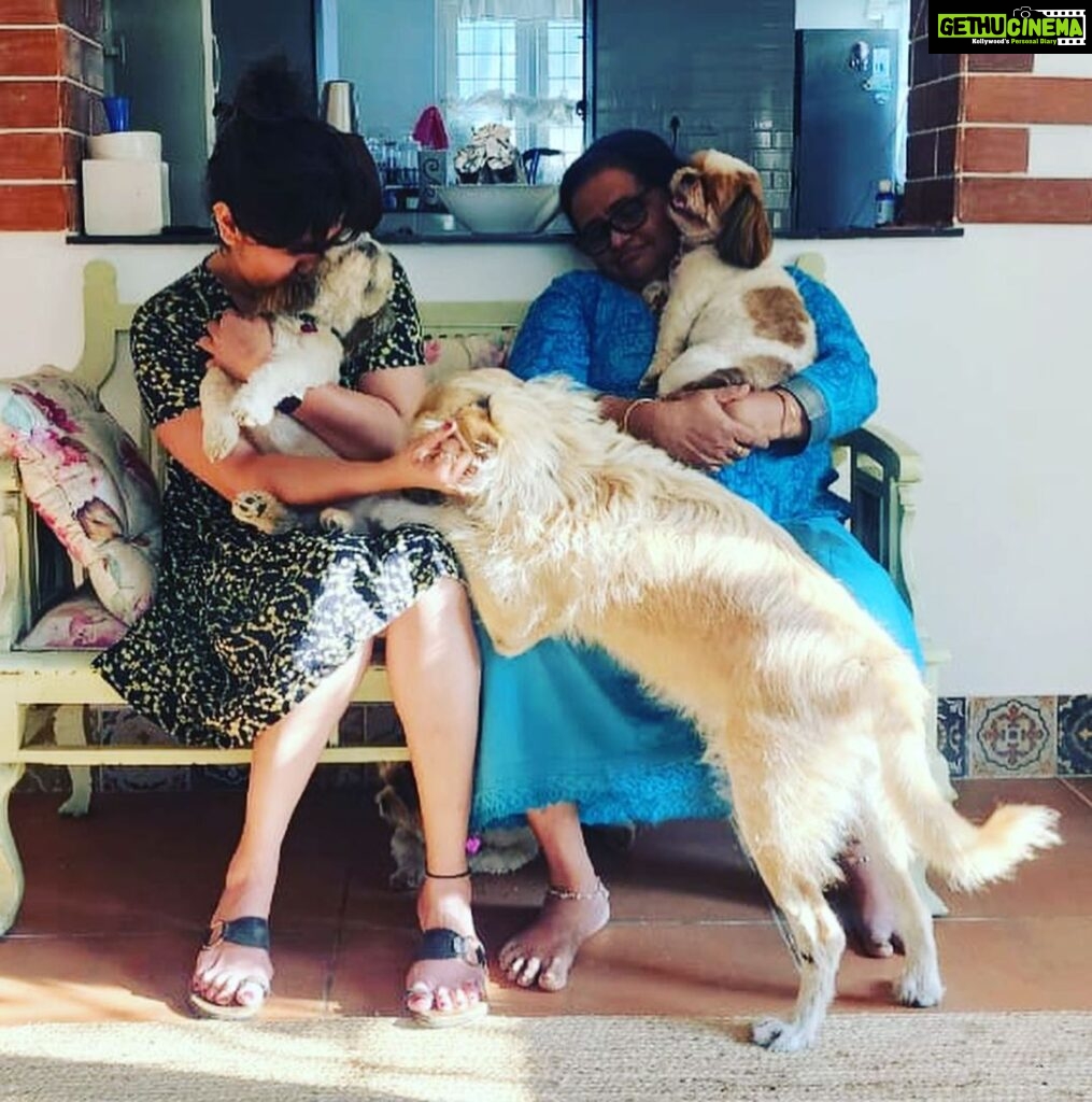 Ranjini Haridas Instagram - Just a regular day at the Haridas’s !!!😬 #ourbabies #unconditionallove #family #whoismissing
