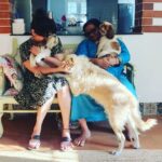 Ranjini Haridas Instagram - Just a regular day at the Haridas’s !!!😬 #ourbabies #unconditionallove #family #whoismissing