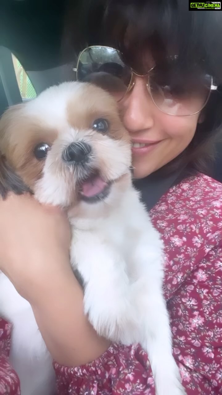 Ranjini Haridas Instagram - My cutie patootie❤️