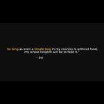 Ranjini Haridas Instagram - Part 1 The video exposes the cruelty and negligence of Daya Animal Welfare, an AWBI recognized NGO in Kerala.