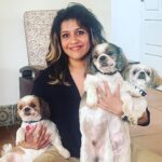 Ranjini Haridas Instagram - The rare times I manage to get a decent pic with the three of them !!! #Loki #Buddy #Rio #❤️ #mybabies