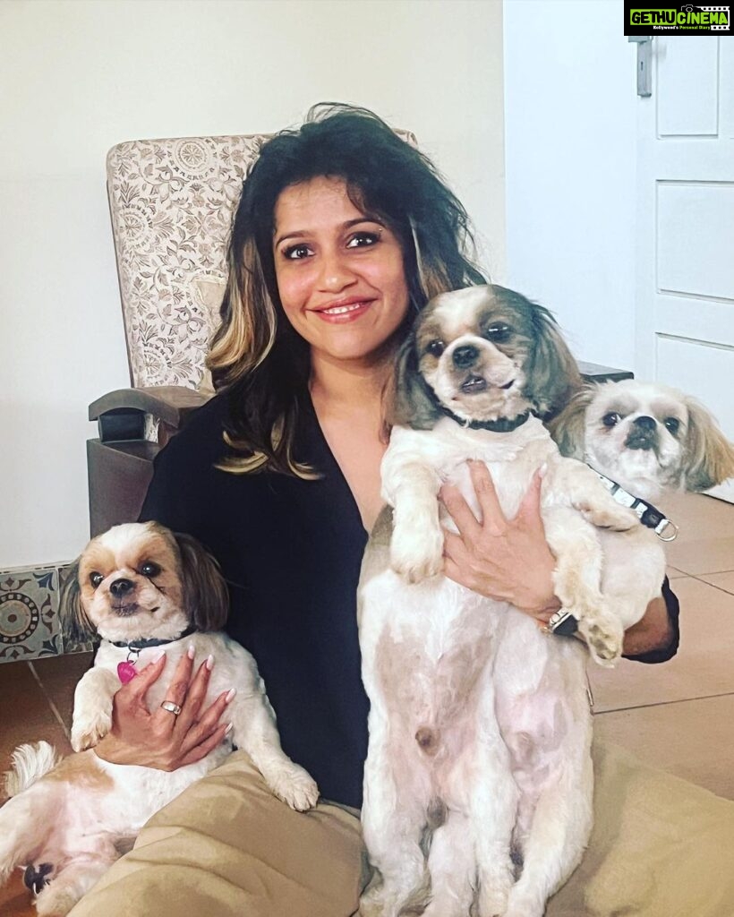 Ranjini Haridas Instagram - The rare times I manage to get a decent pic with the three of them !!! #Loki #Buddy #Rio #❤️ #mybabies