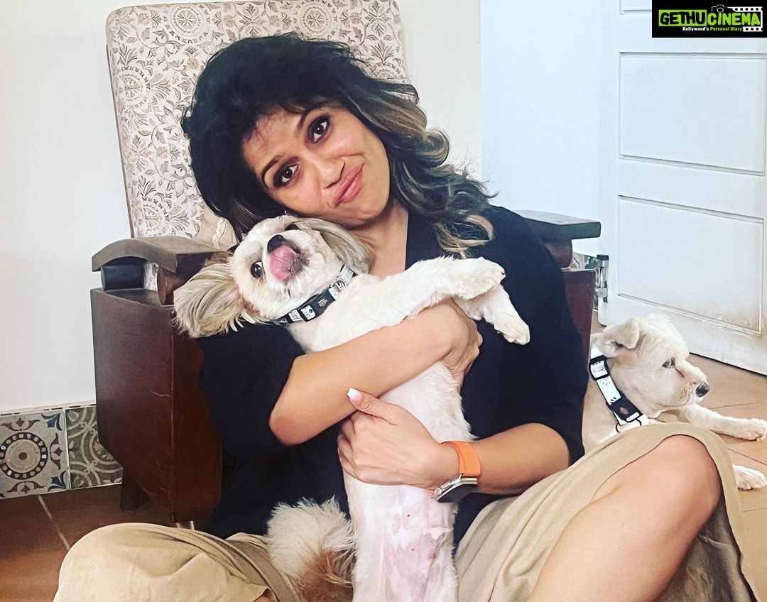 Ranjini Haridas Instagram - Birthday with the fam.❤️ @sreepriyan @haridassujatha Piku,Ricci,Loki,Buddy and Rio . #itsmybirthday #happybirthday #41stbirthday #anotheryearolder #anotheryearwiser #famjam #dogpeople #doggofam