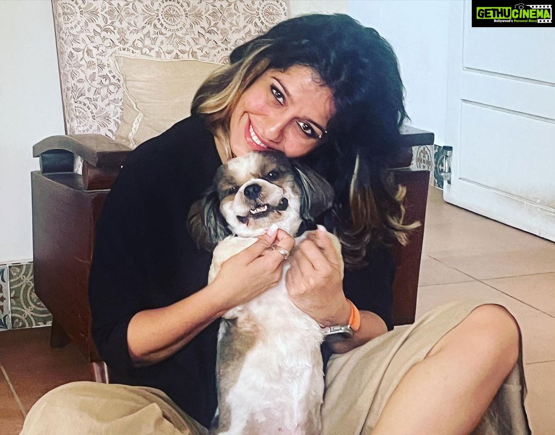 Ranjini Haridas Instagram - Birthday with the fam.❤️ @sreepriyan @haridassujatha Piku,Ricci,Loki,Buddy and Rio . #itsmybirthday #happybirthday #41stbirthday #anotheryearolder #anotheryearwiser #famjam #dogpeople #doggofam
