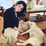 Ranjini Haridas Instagram - Birthday with the fam.❤️ @sreepriyan @haridassujatha Piku,Ricci,Loki,Buddy and Rio . #itsmybirthday #happybirthday #41stbirthday #anotheryearolder #anotheryearwiser #famjam #dogpeople #doggofam