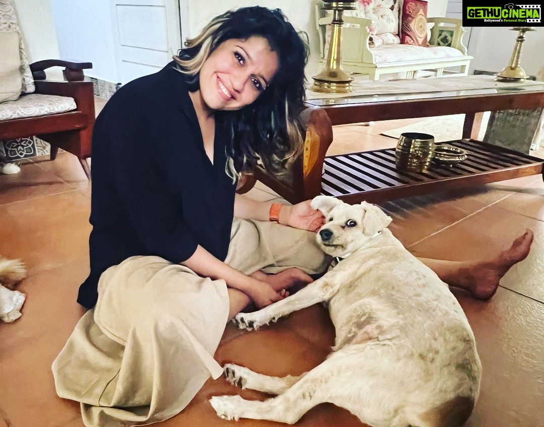 Ranjini Haridas Instagram - Birthday with the fam.❤️ @sreepriyan @haridassujatha Piku,Ricci,Loki,Buddy and Rio . #itsmybirthday #happybirthday #41stbirthday #anotheryearolder #anotheryearwiser #famjam #dogpeople #doggofam