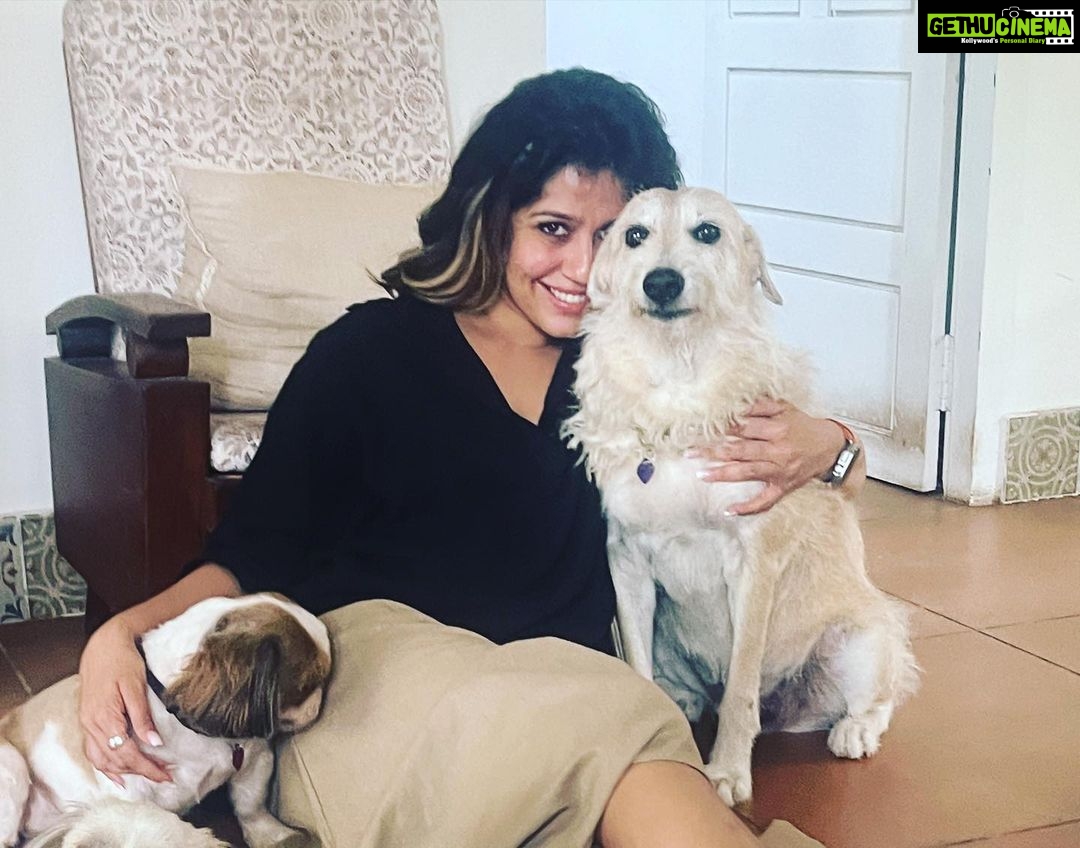 Ranjini Haridas Instagram - Birthday with the fam.❤️ @sreepriyan @haridassujatha Piku,Ricci,Loki,Buddy and Rio . #itsmybirthday #happybirthday #41stbirthday #anotheryearolder #anotheryearwiser #famjam #dogpeople #doggofam