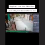 Rashmi Gautam Instagram – Please teach children better 
If you see kids miss behaving with animals please stop them right away and make them understand 
Hitting ,pelting stones at them is not fun they feel pain too
And may react as a form of defence