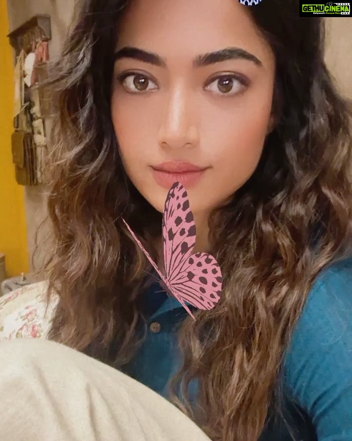 Rashmika Mandanna Instagram - Guys sorry I went missing for awhile.. 🐒 that’s Cz we were mostly shooting in no network areas.. but guyzzzz our first schedule wrap of #rainbow 🌈❤️ Thankyou #rainbow team for your hard workkkkk.. you guys are awesome! 💃🏻😁 (Ok now ps: it’s a bit confusing.. so it’s it’s for those who actually want to know 😆) 3rd place we shot in was Munnar - 1- this was yesterday, before pack up picture.. @devmohanofficial and I took.. 🐒 2- a group pictureeeeeee❤️❤️❤️❤️❤️❤️ 3- the scenery we had from our location.. man! It was dreamy..😍 4- this was a view from my room.. I just haaaaad to show it to you.. ❤️Munnar has some of the most beautiful views for sure.. 😍😍 2nd was Kodaikanal - 5- the flowers just looked too pretty.. 😋🤍 6- the sun rise view from my balcony in Kodai.. 🥰🥰 And 1st was Chennai - 7- how can my day go without a workout, tell me 😋😋 @karansawhney11 video credit 🐒 8- mum came to pick my sister up to go back home.. 😄ladies hai toh matlab the photo session has to happen for sure.. ❤️ 9- my sister had come off to Chennai alone to watch me work and her lil mid shot hugs were THE BEST.. ❤️❤️ kids are so tiny man.. 😮 10- my first selfie and I think the only solo selfie from the sets of #rainbow 🌈😋 All about my last few days ❤️😋 Ok worked too hard for this post.. bye ❤️😋 @devmohanofficial @shantharuban_gnanasekaran @justintunes @thamizh_editor @bhaskaran_dop @prabhu_sr @dreamwarriorpictures ❤️❤️❤️