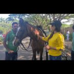 Rati Pandey Instagram - 😎💫💫💫❤ . . #ratipandey #starofmylife⭐️ #horselover🐴 #horserider🐎 #reelitfeelit #instareel