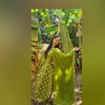 Rati Pandey Instagram - Merging or emerging?😉 . . #mergingcoloursforachange #ratipandey #instareels #ratipandeyreels