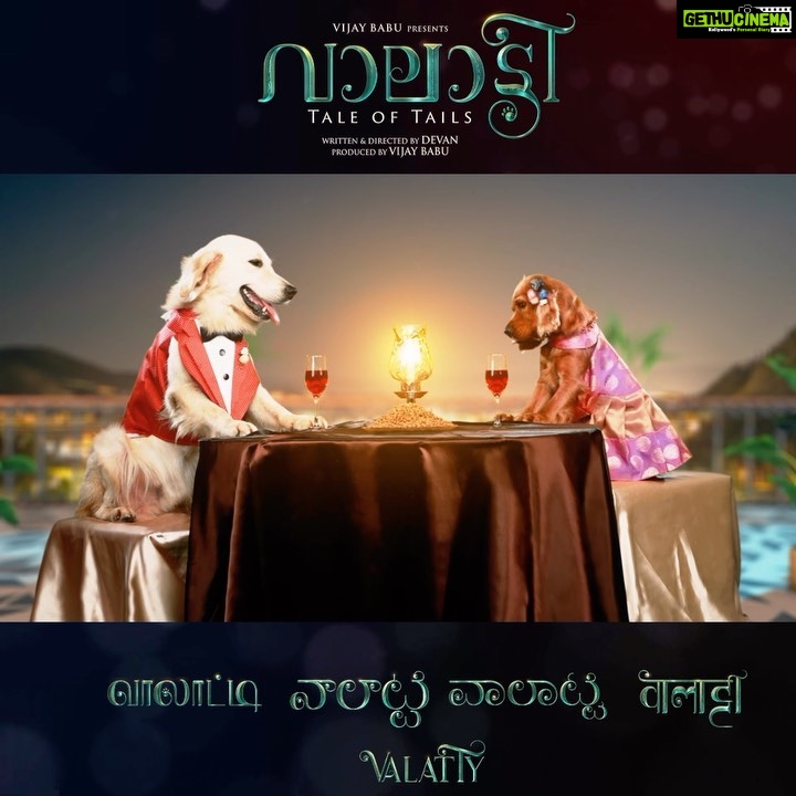 Raveena Ravi Instagram - What if our pets could talk ? Happy and excited to launch the motion poster of “VALATTY” . The Miracle experiment from Mollywood . @valattythemovieofficial @fridayfilmhouseofficial @actor_vijaybabu @they_when