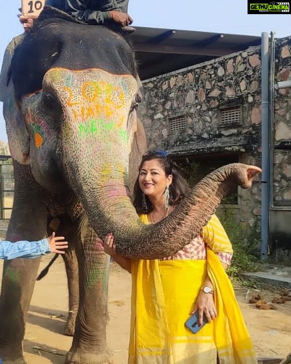 Rekha Krishnappa Instagram - Some more pictures dump from the trip... #jaipur #rajasthan #newyear2023 #jaipur #jaipurdiaries #heritagecity #fortsofjaipur #familytrip #travelindia #travelindiadiaries #rajasthandiaries #camelride #dessert India