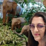 Rekha Krishnappa Instagram - Elephant louve ❤️ Bangalore, India