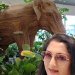 Rekha Krishnappa Instagram - Elephant louve ❤️ Bangalore, India