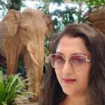 Rekha Krishnappa Instagram - Elephant louve ❤️ Bangalore, India