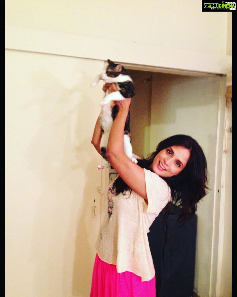 Richa Chadha Instagram - 4.2.23: Madira the OG, eater of aloo bhujiya, the love of my life, my eldest girl has passed on as 13 yo teen veteran to cat heaven. Had adopted her in 2010, a month before I left for the shoot of Gangs of Wasseypur. She was my sibling, my daughter, my 4 legged struggle-buddy. She was with me when I shared a 1BHK with a flatmate, then a 2BHK with 2 flatmates, she survived a fall from the 9th floor of a building, got frequent rides in my i10, she was with me in my time of beanbags, floor cushions, tikka take outs and theatre rehearsals… with us through thick and thin till now… she enjoyed the care from the best caregiver in the world, my mom. Madira chased off intruders and creeps, took flights and eventually relocated to the North. She had a personality! I learnt so much from her. She brought so much joy and comfort to me and my family. Madira, my sweet lil angel, I haven’t cried so much in years. Grief in the gut. Is that why we have pets? To acquaint us with death, as we’re bound to outlive them? What an end to an era my little queen… I love you and always will. Thank you for your love, you are purrfection😭😢🥹 what misery , everyone dies. And also what solace💔