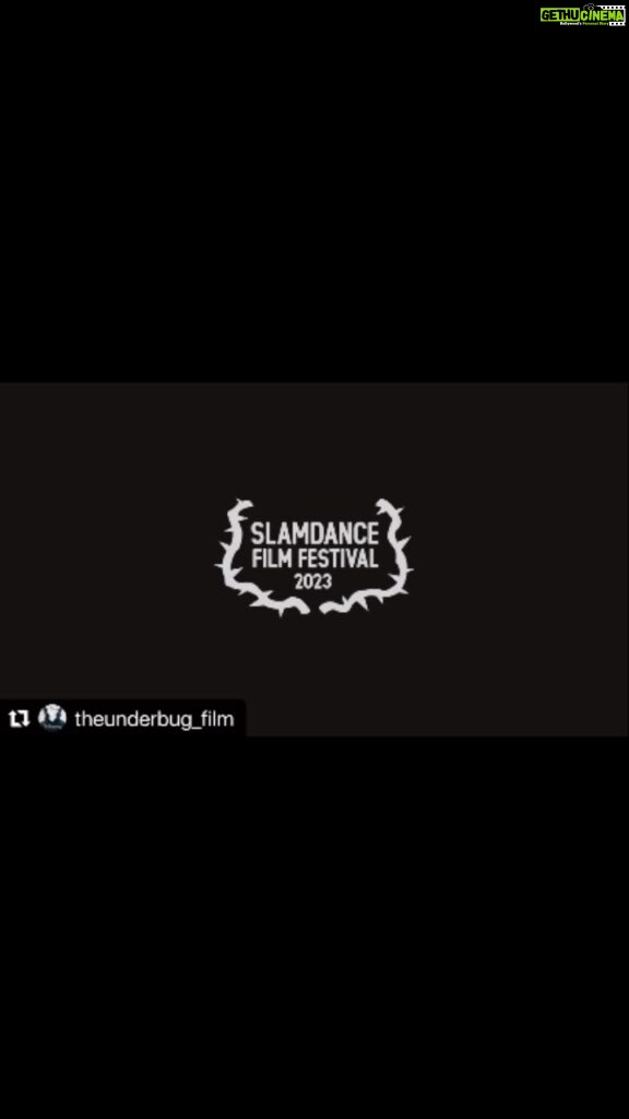 Richa Chadha Instagram - Say hello to @theunderbug_film ! #Horror of horrors . . #Repost @theunderbug_film with @use.repost @pushingbuttonsstudios ・・・ Creep, crawl, die! The Underbug. Trailer out now. . . . . . . . . . . . . . . . #slamdance #theunderbug #cinematography #cinema #films #alifazal #sonyvenice #indiefilm #moviemagic #filmfestivals #filmmaker #film #explorepage #explore #trailer #filmtrailer #horrormovies #horror #genre #parkcity #utah #hindifilm