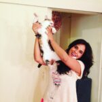 Richa Chadha Instagram - 4.2.23: Madira the OG, eater of aloo bhujiya, the love of my life, my eldest girl has passed on as 13 yo teen veteran to cat heaven. Had adopted her in 2010, a month before I left for the shoot of Gangs of Wasseypur. She was my sibling, my daughter, my 4 legged struggle-buddy. She was with me when I shared a 1BHK with a flatmate, then a 2BHK with 2 flatmates, she survived a fall from the 9th floor of a building, got frequent rides in my i10, she was with me in my time of beanbags, floor cushions, tikka take outs and theatre rehearsals… with us through thick and thin till now… she enjoyed the care from the best caregiver in the world, my mom. Madira chased off intruders and creeps, took flights and eventually relocated to the North. She had a personality! I learnt so much from her. She brought so much joy and comfort to me and my family. Madira, my sweet lil angel, I haven’t cried so much in years. Grief in the gut. Is that why we have pets? To acquaint us with death, as we’re bound to outlive them? What an end to an era my little queen… I love you and always will. Thank you for your love, you are purrfection😭😢🥹 what misery , everyone dies. And also what solace💔