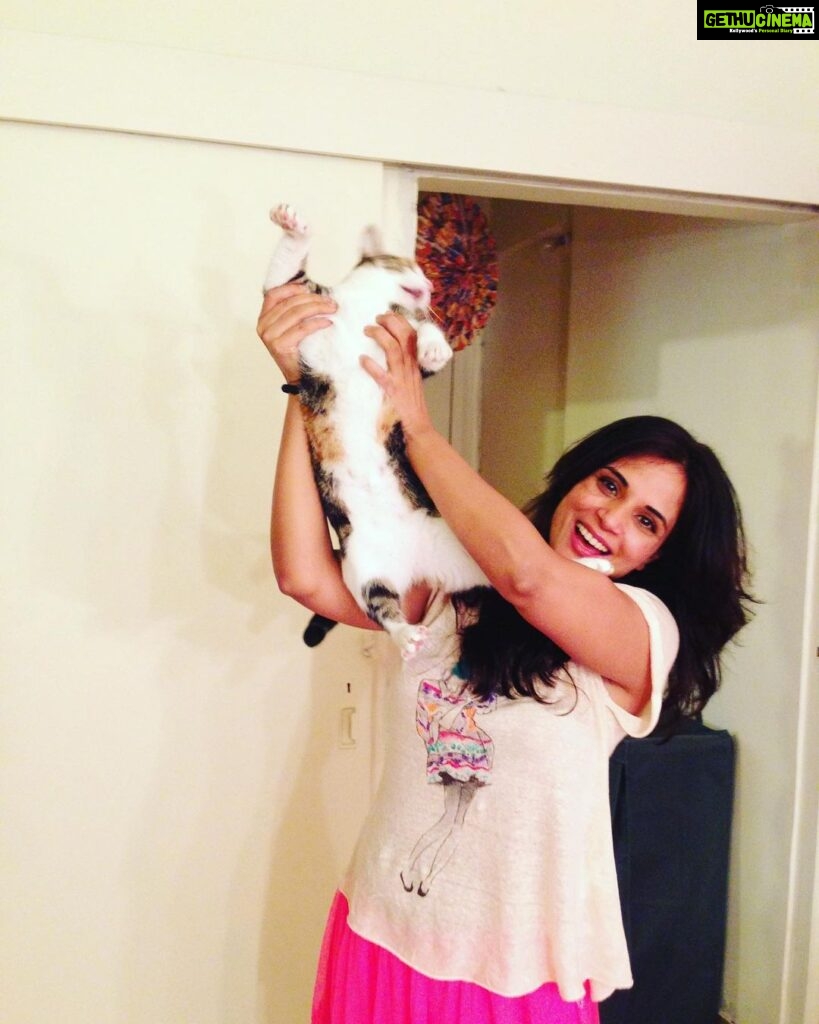 Richa Chadha Instagram - 4.2.23: Madira the OG, eater of aloo bhujiya, the love of my life, my eldest girl has passed on as 13 yo teen veteran to cat heaven. Had adopted her in 2010, a month before I left for the shoot of Gangs of Wasseypur. She was my sibling, my daughter, my 4 legged struggle-buddy. She was with me when I shared a 1BHK with a flatmate, then a 2BHK with 2 flatmates, she survived a fall from the 9th floor of a building, got frequent rides in my i10, she was with me in my time of beanbags, floor cushions, tikka take outs and theatre rehearsals… with us through thick and thin till now… she enjoyed the care from the best caregiver in the world, my mom. Madira chased off intruders and creeps, took flights and eventually relocated to the North. She had a personality! I learnt so much from her. She brought so much joy and comfort to me and my family. Madira, my sweet lil angel, I haven’t cried so much in years. Grief in the gut. Is that why we have pets? To acquaint us with death, as we’re bound to outlive them? What an end to an era my little queen… I love you and always will. Thank you for your love, you are purrfection😭😢🥹 what misery , everyone dies. And also what solace💔