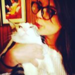 Richa Chadha Instagram - 4.2.23: Madira the OG, eater of aloo bhujiya, the love of my life, my eldest girl has passed on as 13 yo teen veteran to cat heaven. Had adopted her in 2010, a month before I left for the shoot of Gangs of Wasseypur. She was my sibling, my daughter, my 4 legged struggle-buddy. She was with me when I shared a 1BHK with a flatmate, then a 2BHK with 2 flatmates, she survived a fall from the 9th floor of a building, got frequent rides in my i10, she was with me in my time of beanbags, floor cushions, tikka take outs and theatre rehearsals… with us through thick and thin till now… she enjoyed the care from the best caregiver in the world, my mom. Madira chased off intruders and creeps, took flights and eventually relocated to the North. She had a personality! I learnt so much from her. She brought so much joy and comfort to me and my family. Madira, my sweet lil angel, I haven’t cried so much in years. Grief in the gut. Is that why we have pets? To acquaint us with death, as we’re bound to outlive them? What an end to an era my little queen… I love you and always will. Thank you for your love, you are purrfection😭😢🥹 what misery , everyone dies. And also what solace💔