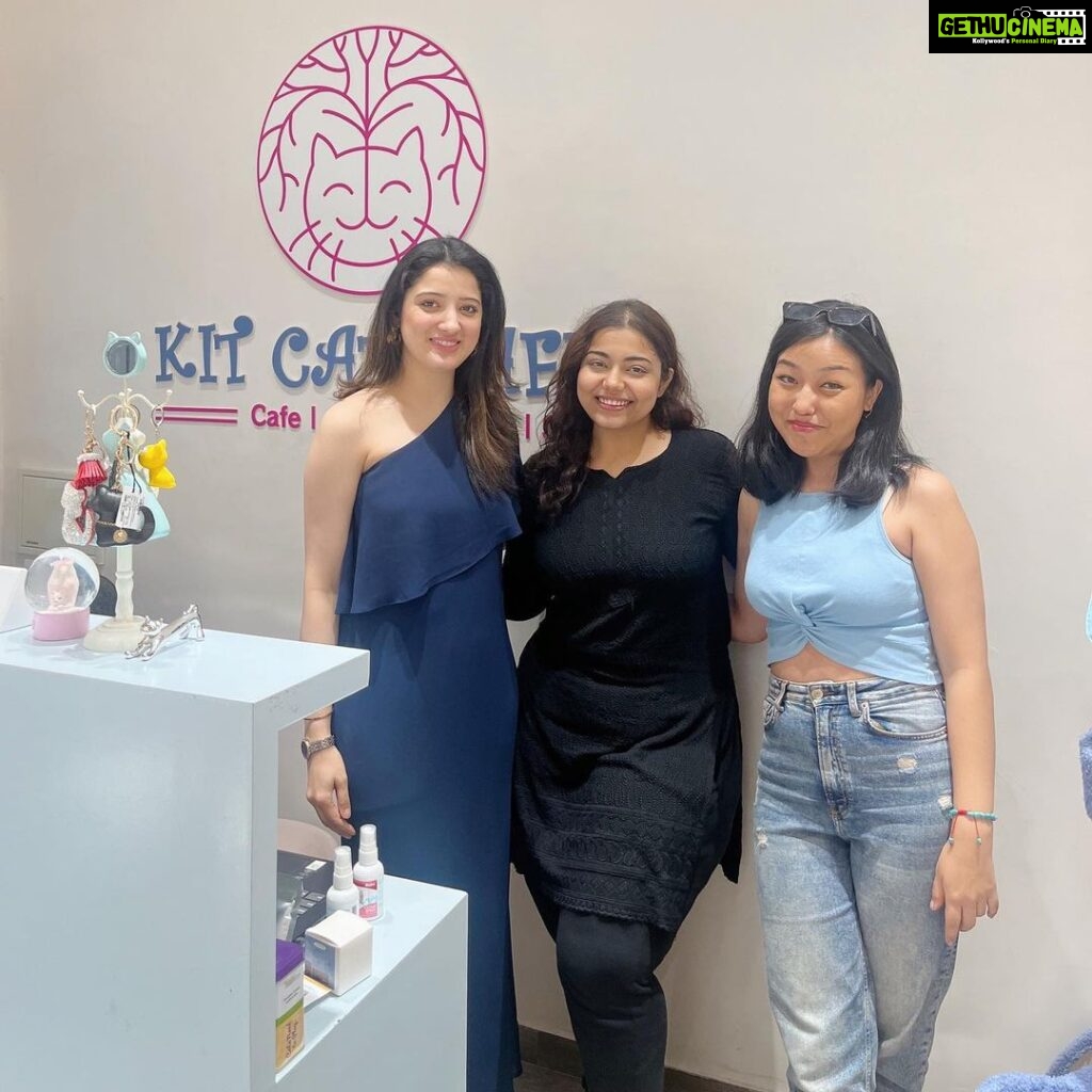 Richa Panai Instagram - The lovely team of @pinkvilla at our cafe today!😻 It was our pleasure and so much fun hosting you girls!!💕 @annalovesuh @esterzester #kitcatcafe #pinkvilla #pinkvillalifestyle KIT CAT CAFE