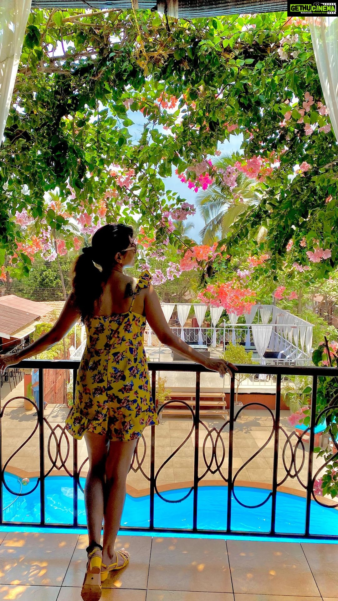 Ridheema Tiwari Instagram - Ek Aur Din ❤️ Is Khoobsoorat Zindagi Ka Wearing : @howwhenwearclothing #ashwembeachgoa #resortwear #chilling #goadiaries #theregaliaresort #ridhiematiwari #trendingreels The Regalia Resort
