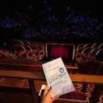 Roopal Tyagi Instagram - Raindrops on roses 🌹 and whiskers on kittens 🐱 Bright copper kettles and warm woolen mittens 🧤 Brown paper packages tied up with strings 📦 These are a few of my favorite things 🧸 #soundofmusic #nmacc Nita Mukesh Ambani Cultural Centre
