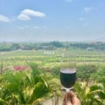 Roopal Tyagi Instagram - Angoor khatte nahi hai! 😂 Have a grape 🍇 day ! #sulavineyards #grapevines Sula Vineyards