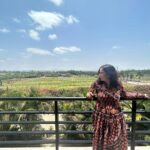 Roopal Tyagi Instagram - Angoor khatte nahi hai! 😂 Have a grape 🍇 day ! #sulavineyards #grapevines Sula Vineyards