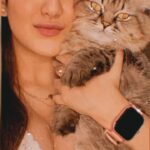 Roshmi Banik Instagram - A meow-ning to my #roshfam 😚 . . . . . #catsofinstagram #kittens #roshmibanik #throwbackthursday #tbt #love #live #laugh #trending