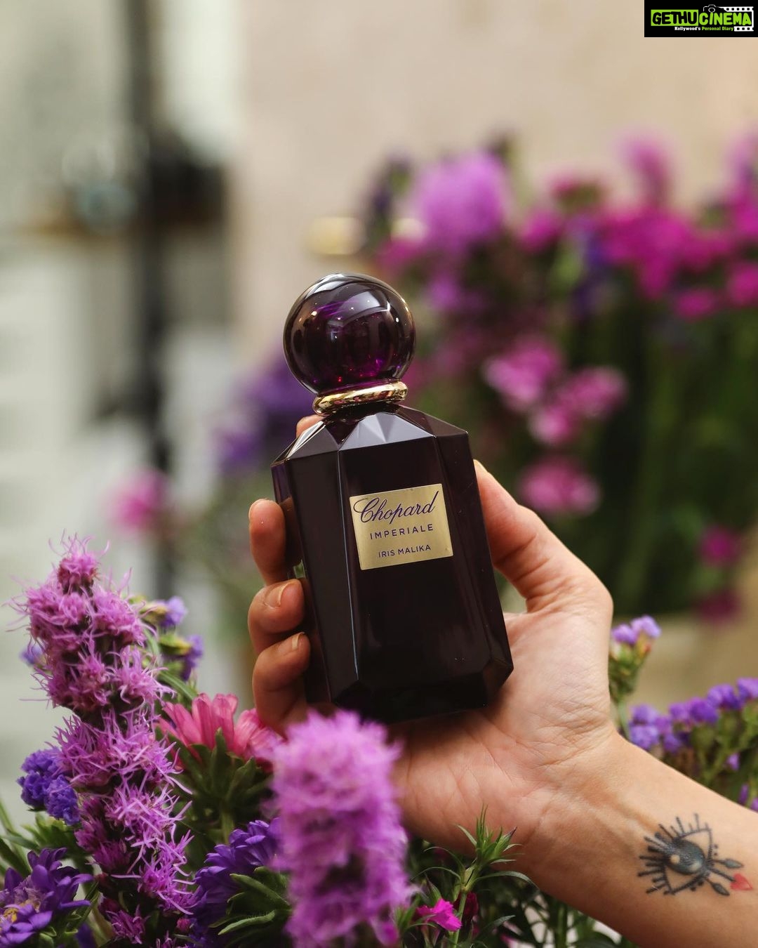Roshni Chopra Instagram - She’s a Modern day Empress 👸🏻- wearing @chopard Impériale Iris Malika ✨. A majestic fragrance which opens with scrumptious berries and is enveloped with an imperial floral bouquet at the heart. This winter discover the true royal French Oriental essence . 💜 @beautyconcepts_india #Chopard#ChopardImperiale #IrisMalika #colab