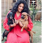 Roshni Prakash Instagram - I asked Cupid to fetch me a valentine and here you guys are. ❣️🐾 Obi and Doobi. ✨ P.S: Swipe right for reality 🥲
