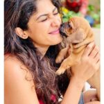 Roshni Prakash Instagram - So universe decided to bless us with the most precious thing! ✨ World meet Obi :) 🐾 #rescued Mysore, Karnataka