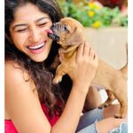 Roshni Prakash Instagram - So universe decided to bless us with the most precious thing! ✨ World meet Obi :) 🐾 #rescued Mysore, Karnataka