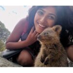 Roshni Prakash Instagram - Relishing this moment with the best poser in the world. ❤️ #throwingitback #quokka Rottnest Island