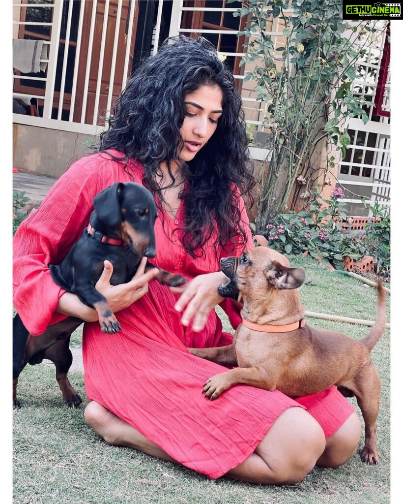 Roshni Prakash Instagram - I asked Cupid to fetch me a valentine and here you guys are. ❣🐾 Obi and Doobi. ✨ P.S: Swipe right for reality 🥲