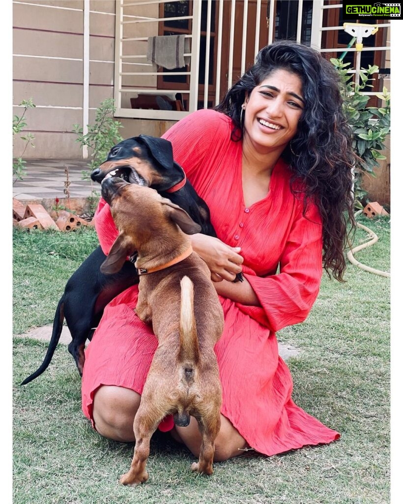 Roshni Prakash Instagram - I asked Cupid to fetch me a valentine and here you guys are. ❣🐾 Obi and Doobi. ✨ P.S: Swipe right for reality 🥲