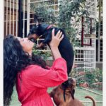 Roshni Prakash Instagram - I asked Cupid to fetch me a valentine and here you guys are. ❣️🐾 Obi and Doobi. ✨ P.S: Swipe right for reality 🥲