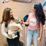 Roshni Walia Instagram - Feeling incredibly honored and grateful to have been invited by the @jf.yolofoundation & @jacquelinef143 , an amazing initiative that is dedicated to aiding and protecting animals. It has been an incredible experience attending the event alongside the passionate team, making a positive impact on the lives of our furry friends 🐶 . . #YOLOFoundation #AnimalAid #Grateful #Roshniwalia #jaqlinefernandes #sonusood #channelhumanity ✨🔚 Jio World Drive