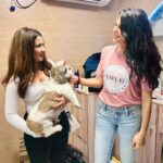 Roshni Walia Instagram – Feeling incredibly honored and grateful to have been invited by the @jf.yolofoundation & @jacquelinef143 , an amazing initiative that is dedicated to aiding and protecting animals. It has been an incredible experience attending the event alongside the passionate team, making a positive impact on the lives of our furry friends 🐶 
.
.
#YOLOFoundation #AnimalAid #Grateful #Roshniwalia #jaqlinefernandes #sonusood #channelhumanity ✨🔚 Jio World Drive