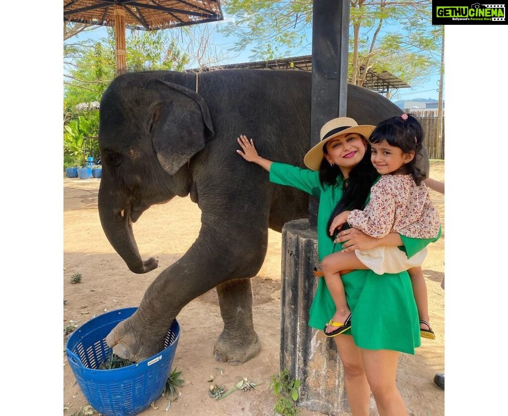 Rucha Hasabnis Instagram - “They say an elephant never forgets. What they don’t tell you is, you never forget an elephant”- Bill Murray . . #animallover #beauty 🐘