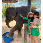 Rucha Hasabnis Instagram - “They say an elephant never forgets. What they don’t tell you is, you never forget an elephant”- Bill Murray . . #animallover #beauty 🐘